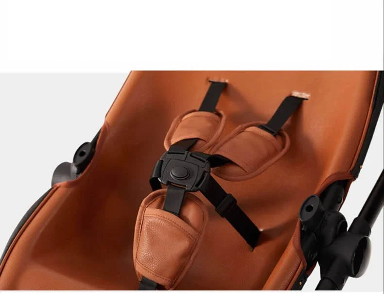 2-in-1 Twin Baby Stroller