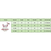 Pudcoco Baby Girl Romper Set