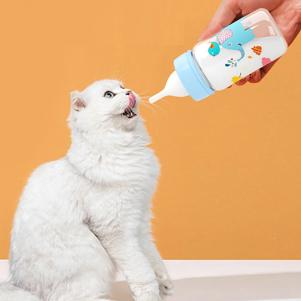 Small Pet Bottle