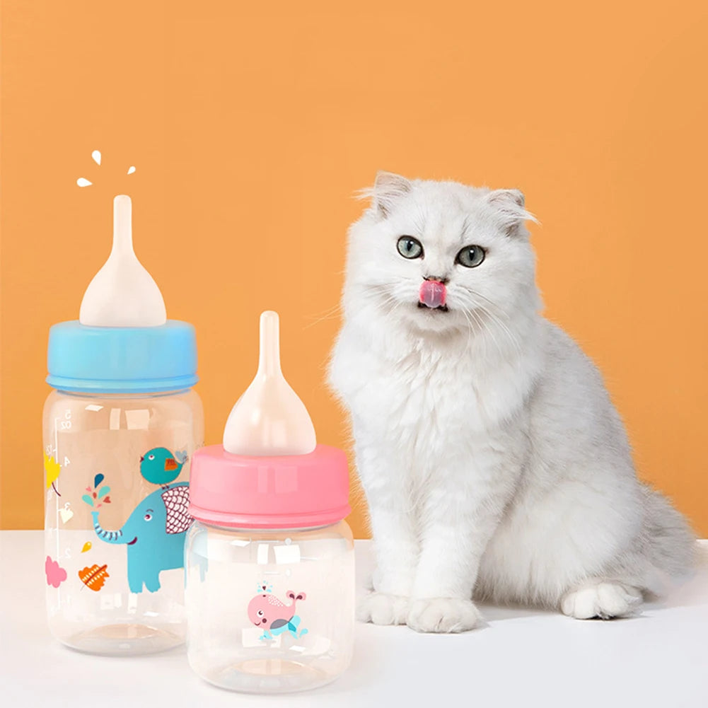 Small Pet Bottle